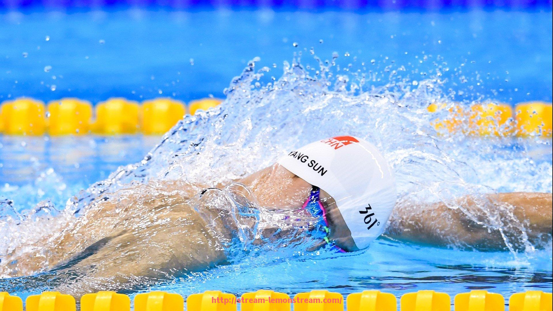 柠檬体育直播-历年欧冠数据总览：进球数、黄牌红牌及胜率统计